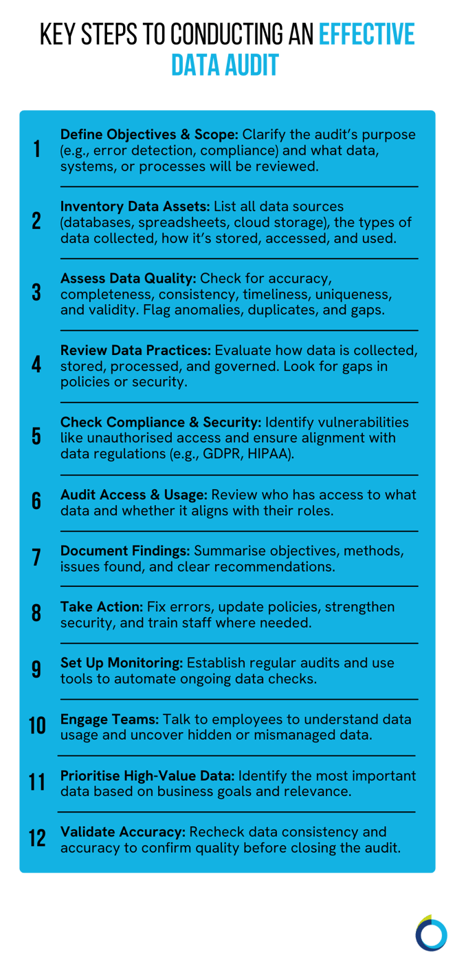 Data Audit Steps